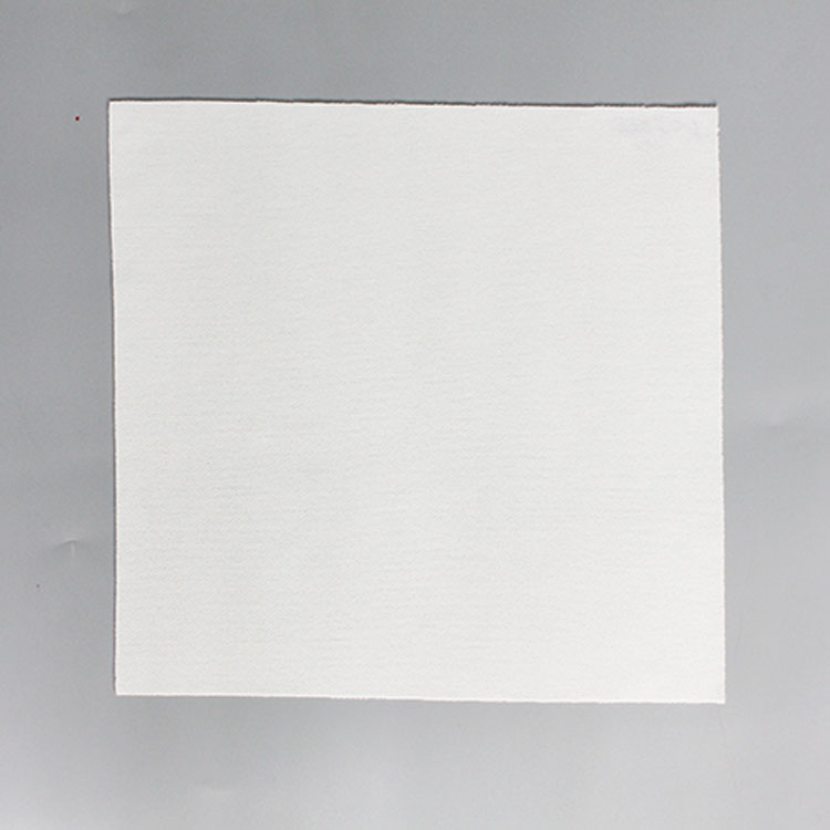 1009SLE 100% Polyester Lint Free Cleanroom Wiper